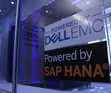 Servidores SAP/HANA